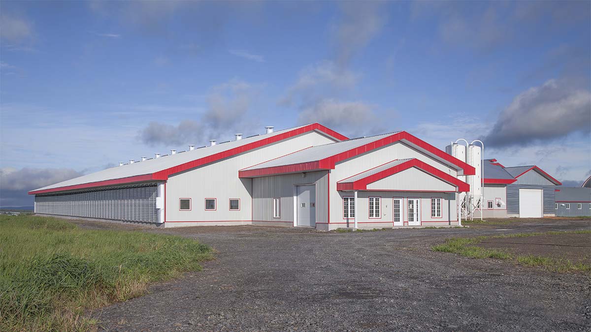 American barn shed