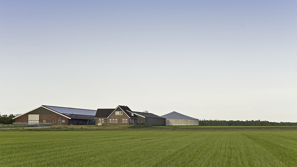 American barn shed