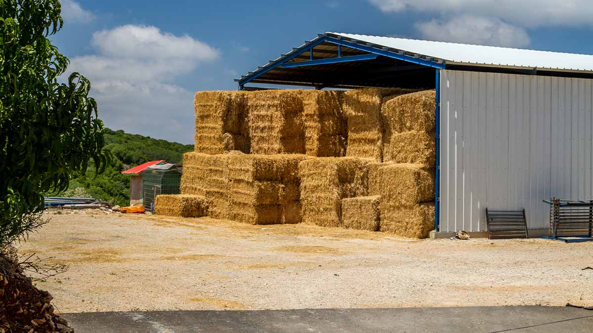 Hay Sheds