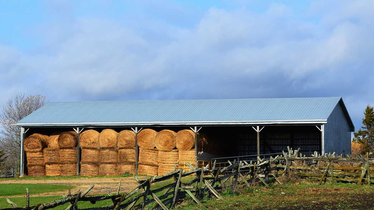 Hay Sheds